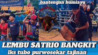 KALAP MASAL!!LEMBU SATRIO BANGKIT bumiaayu tubo purwosekar tajinan @LEMBUSATRIOBANGKIT_OFFICIAL