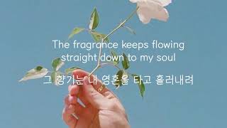 Johnny Stimson - Flower 한글/가사/해석/자막