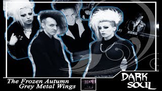 Watch Frozen Autumn Grey Metal Wings video