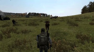MadCow in DayZ