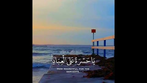 آيات بينات من الذكر الحكيم تملأ القلب خشوعا وتفكرا حالات واتس اب دينية قصيرة مؤثرة قرآن كريم