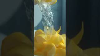 Limon kabuğu karbonat tuz suyla karıştırıp lavabo ve poze temizliğinde kullanabilirsiniz