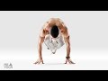 2100 asanas book review  mr yoga  daniel lacerda  balance poses part 1