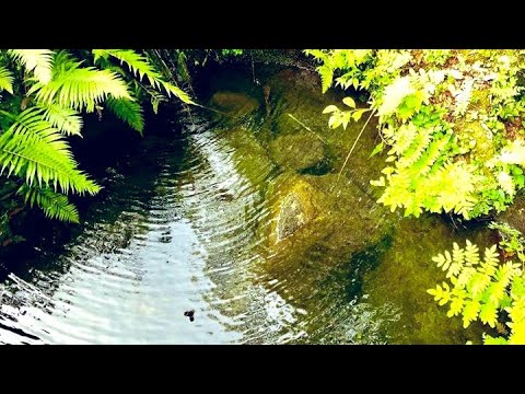 Furusato Arashi piano ふるさと 嵐 ピアノ