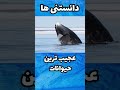 حیواناتی که بیشترین طول عمر را دارند نهنگ سرکمانی بیش از ۲۰۰ سال عمر می کند دانستنی
