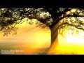 Inner peace music for meditation deep sleep inner peace for positive thinking and positive energy