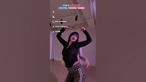 RANKING THE BEST PITBULL TERRIER  DANCE TREND!!#youtubeshorts