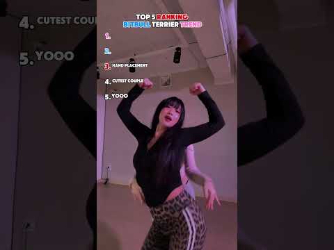 RANKING THE BEST PITBULL TERRIER DANCE TREND Youtubeshorts