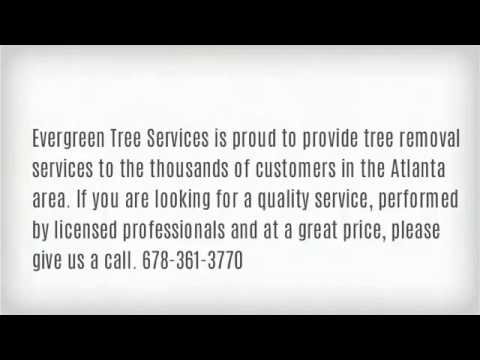 #1 Tree Removal Service in Atlanta - Call 678-361-3770 - YouTube
