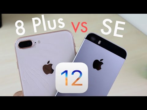 iPhone 12 Vs iPhone 8 Plus! (Comparison) (Review). 