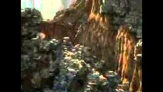 Year of The Snake by Anggun