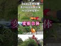 【変形合体】少年心くすぐる♪2Way芝生バリカン＆枝切トリマーを使ってみました