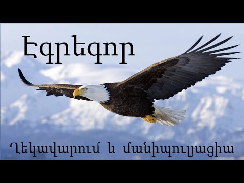 Video: Հետևյալներից ո՞րը չի կարող բևեռացվել: