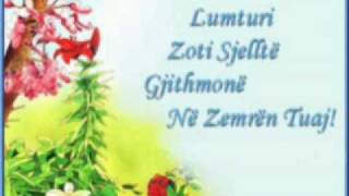 Dobridoll Te Dua Zemer Per Jet M