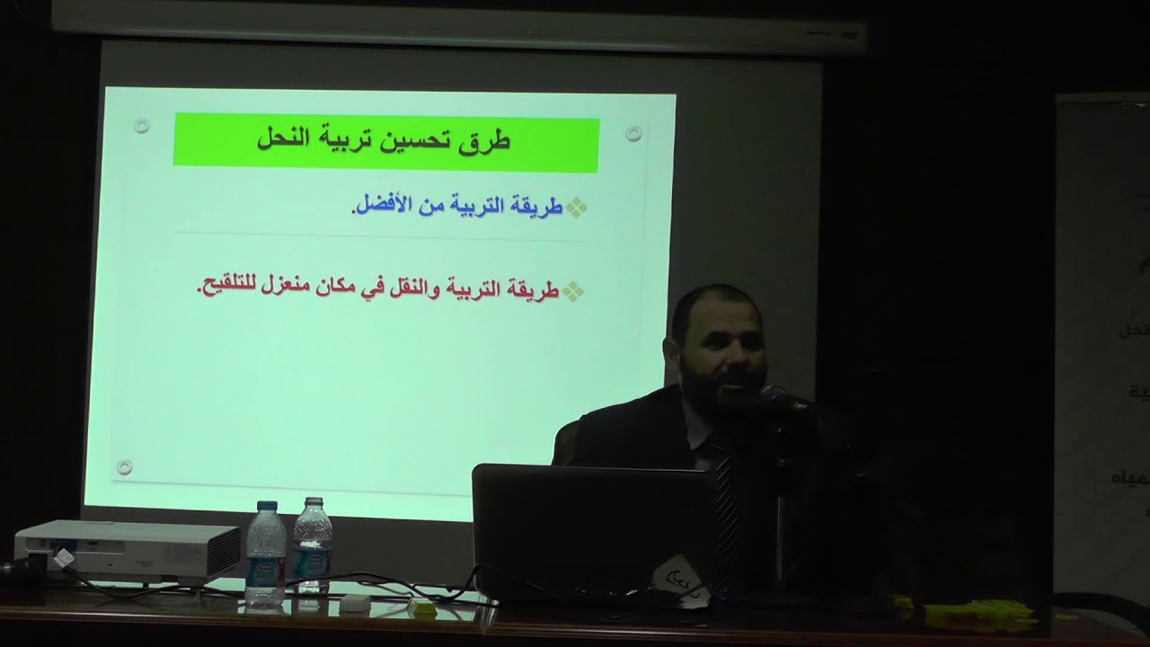 ماهي أفضل طرق تربية النحل؟