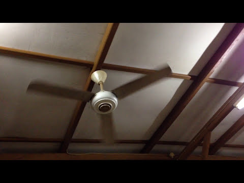 Archive video: 48'
