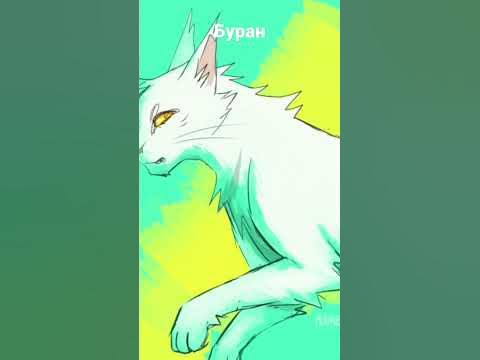 Буран коты воители - YouTube