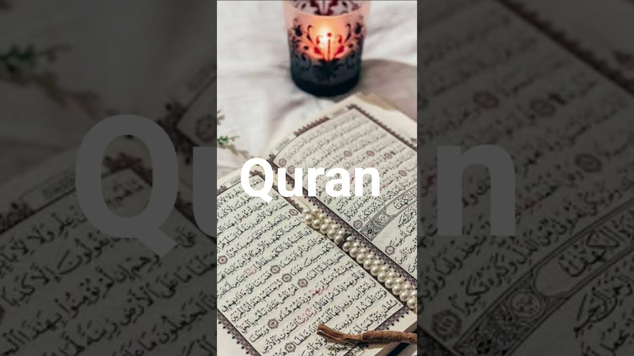 surah alay #quranictranslation #islamicstatus #duet #shortvideo