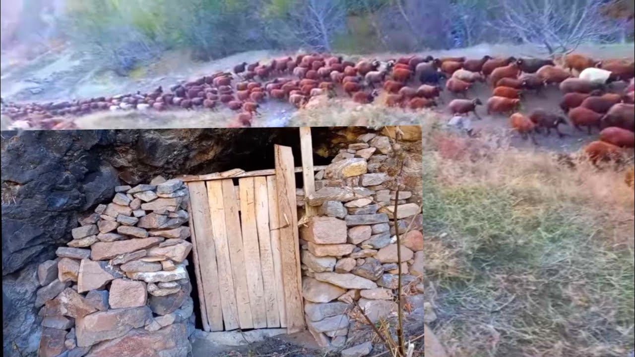 VADİNİN DİBİNDEKİ MAĞARAYA GİRDİM.  BURALAR HEP TARİHİ YERLER ( koyun ile tarihi yerleri keşfettim)