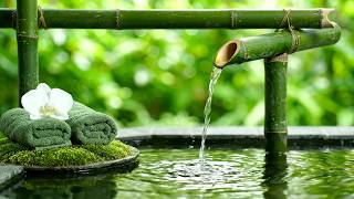 Quiet Bamboo Water ✨ Slow Garden Water and Peaceful Piano Music for Reading • Sleep, Study and Spa screenshot 5