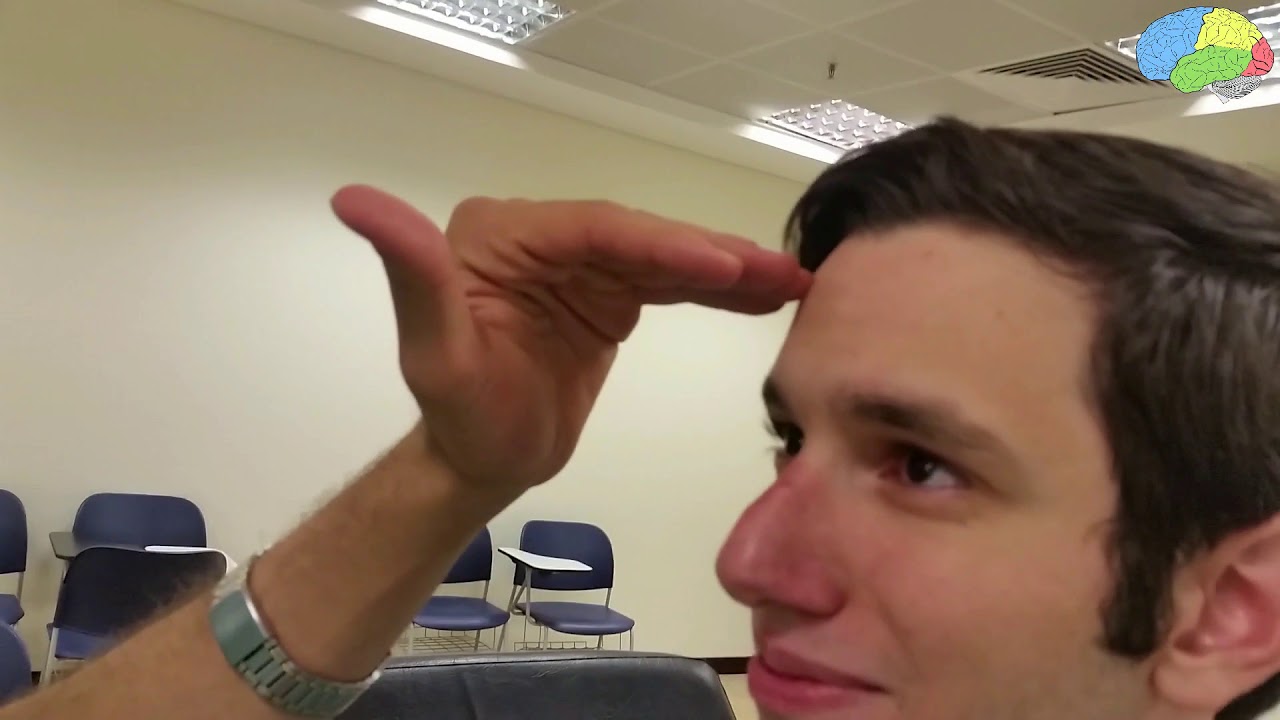 CNS examination - MED 435