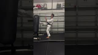 Taekwondo Heavy Bag Work Resimi
