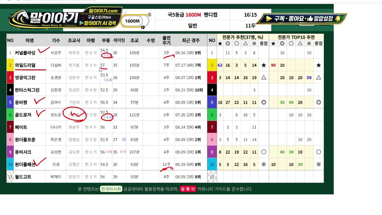 2026.09.04 말이야기 AI 경마 예상｜금요경마 AI 데이터로 찾는 배당마