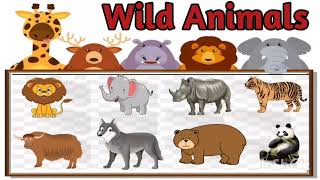 wild animals for kids - wild animals name - Wild Animals - Educational Videos