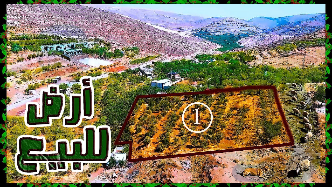 أرض 3500 متر في  ريف دمشق -الزبداني –  مخدمة بالكامل بسعر 90,000$