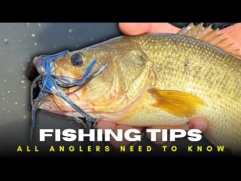 5 Simple Tips Every Needs To Know! Double Your Fishing Catch!