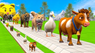 Long Slide Game With Cow Elephant Gorilla Hippopotamus Tiger - 3d Animal Game - Funny 3d Animals screenshot 3