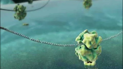 Harvard MCB - BioVisions Lab: The Inner Life of the Cell (Narrated)