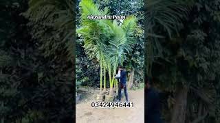 #fruit #unfrez #gardeningtools #farming #viral #viral