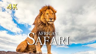 4K アフリカの野生動物【リラックス音楽】大自然の絶景＆ドローン映像｜African Safari