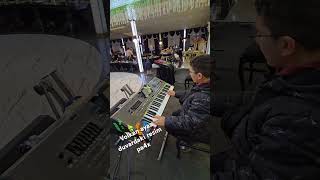 Volkan Ayaz Duvardaki Resim Korg Pa4X Canlı Performans Nex Garden