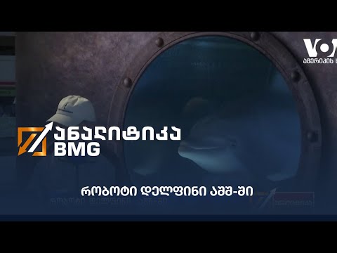 რობოტი დელფინი აშშ-ში