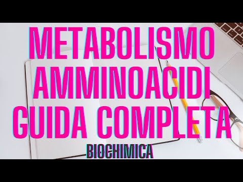 Metabolismo aminoacidi biochimica guida completa a capitoli