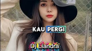 LUPA DAN LUKA🎶 DJ LIANDRA 2025 
