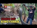 Penangkapan King Cobra Dermaji- Karang Gedang