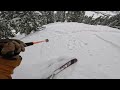 Alta ski area  completely socked in epic storm skiing