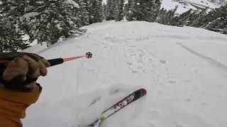 Alta Ski Area | Completely Socked In Epic Storm Skiing