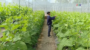 Ứng dụng công nghệ cao cho năng suất, chất lượng sản phẩm vượt trội | BRT TV