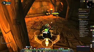 Mount Farming  [Swift Zulian Panther]