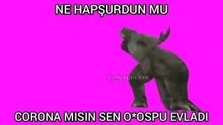 Korona Mısın Lan Sen Oç