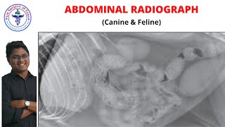 Abdomen | Radiology | Lecture 01 screenshot 5