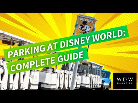 Video: Este permis accesul la parc la Disney World?