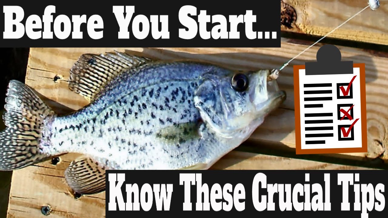 Crappie Fishing Secrets 2020: Beginner Crappie Fishing Tips & Techniques At  Night