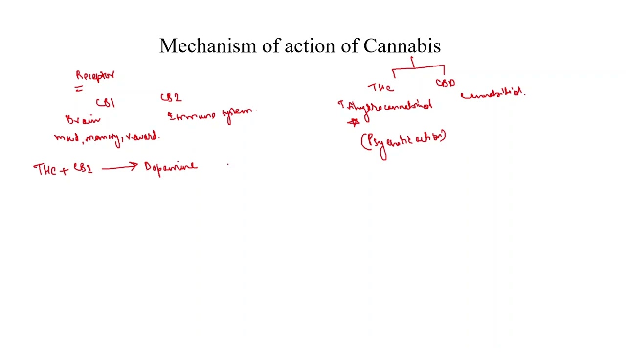 Cannabinoids Mechanism of Action Simplified | Class 12 NCERT Drug Abuse Chapter