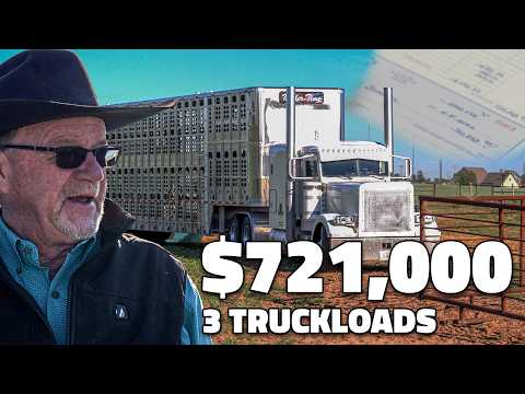 The Company That Broke a 100-Year-Old Cattle Tradition