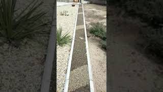 видео: Каменный ковер после зимы!!!!! картинка: Каменный ковер после зимы!!!!!